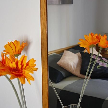 Apartament Sant Joan Sant Joan De Villatorrada Номер фото